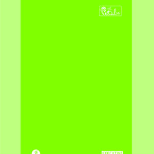 A4 Notebooks Rulled 20.5x29cm (Pages-400)