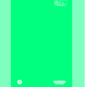 A4 Notebooks Rulled 21x29cm (Pages-360)
